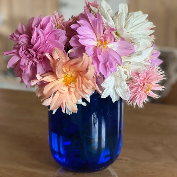 Meet your Posher, Debranne - Picture 14 of 15